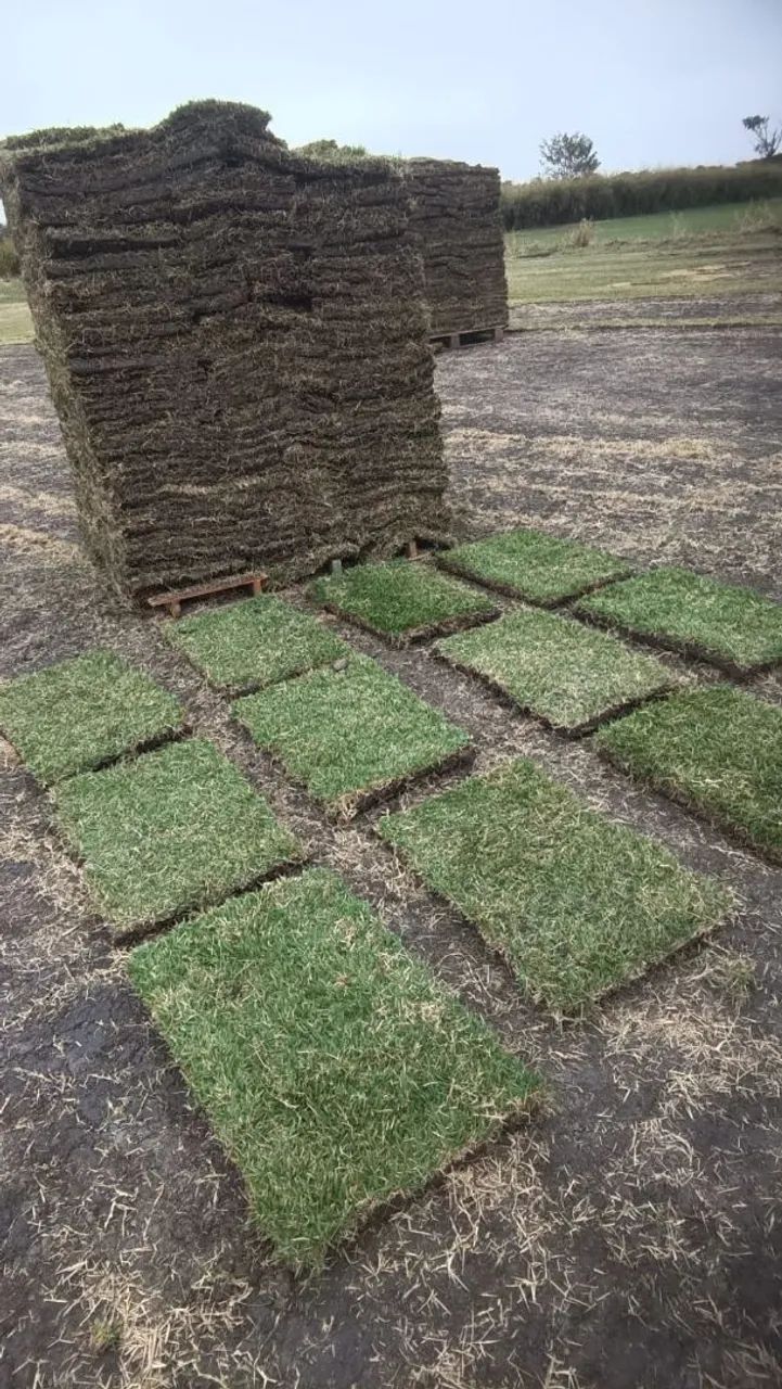 4,60 GRAMA ESMERALDA PRA RETIRAR  - Foto 2