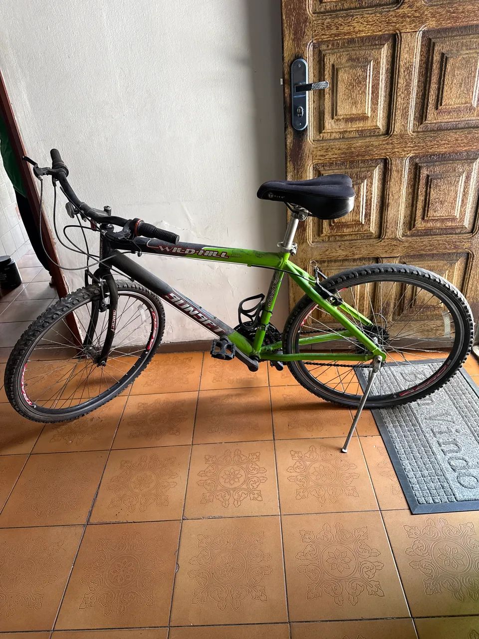 Bicicleta