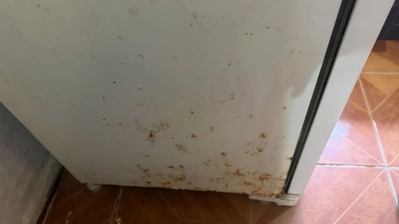 Geladeira Eletrolux  - Foto 4
