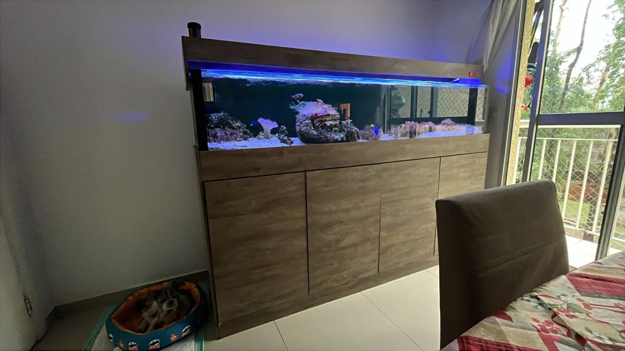 Aquário completo 