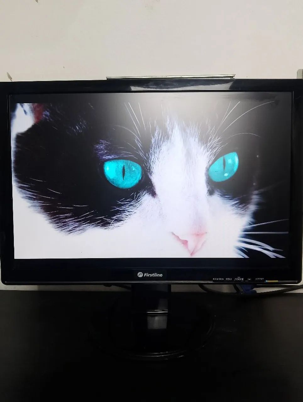 Monitor 19 polegadas