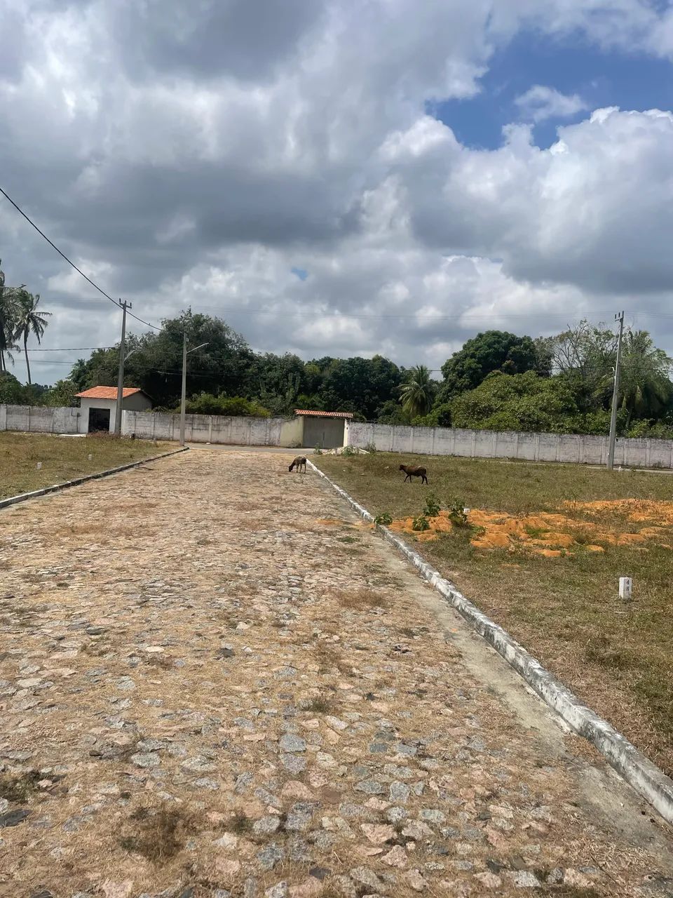 Vendo terreno no Aquiraz próx ao Eusébio  - Foto 4