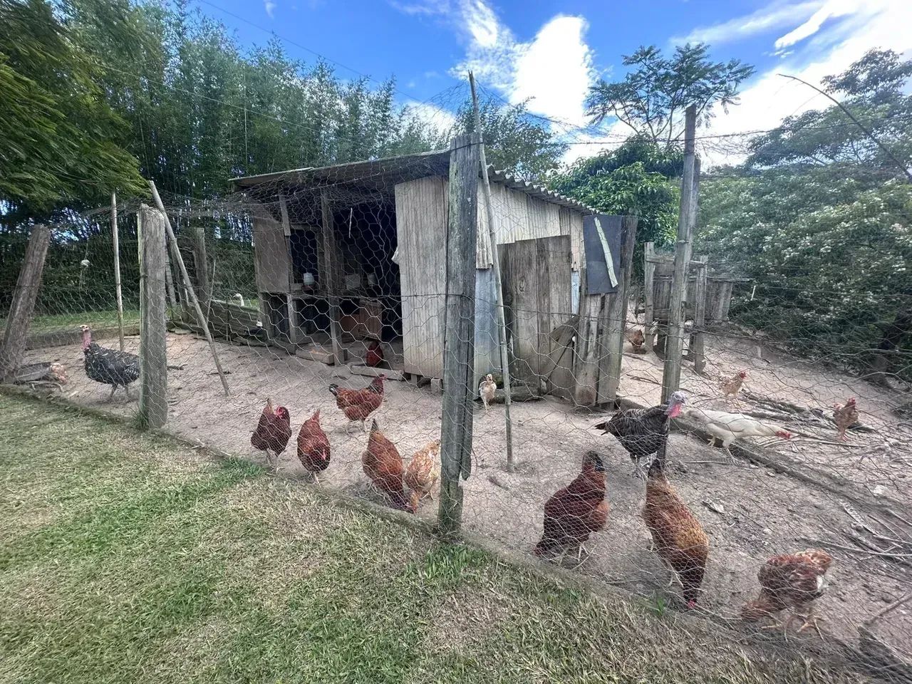 Imóvel para venda tem 200 metros quadrados com 3 quartos