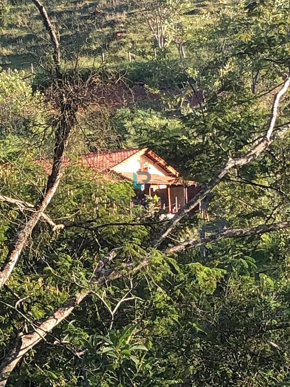 CHÁCARA FORMADA COM ACESSO FÁCIL EM CUNHA-SP - Foto 3