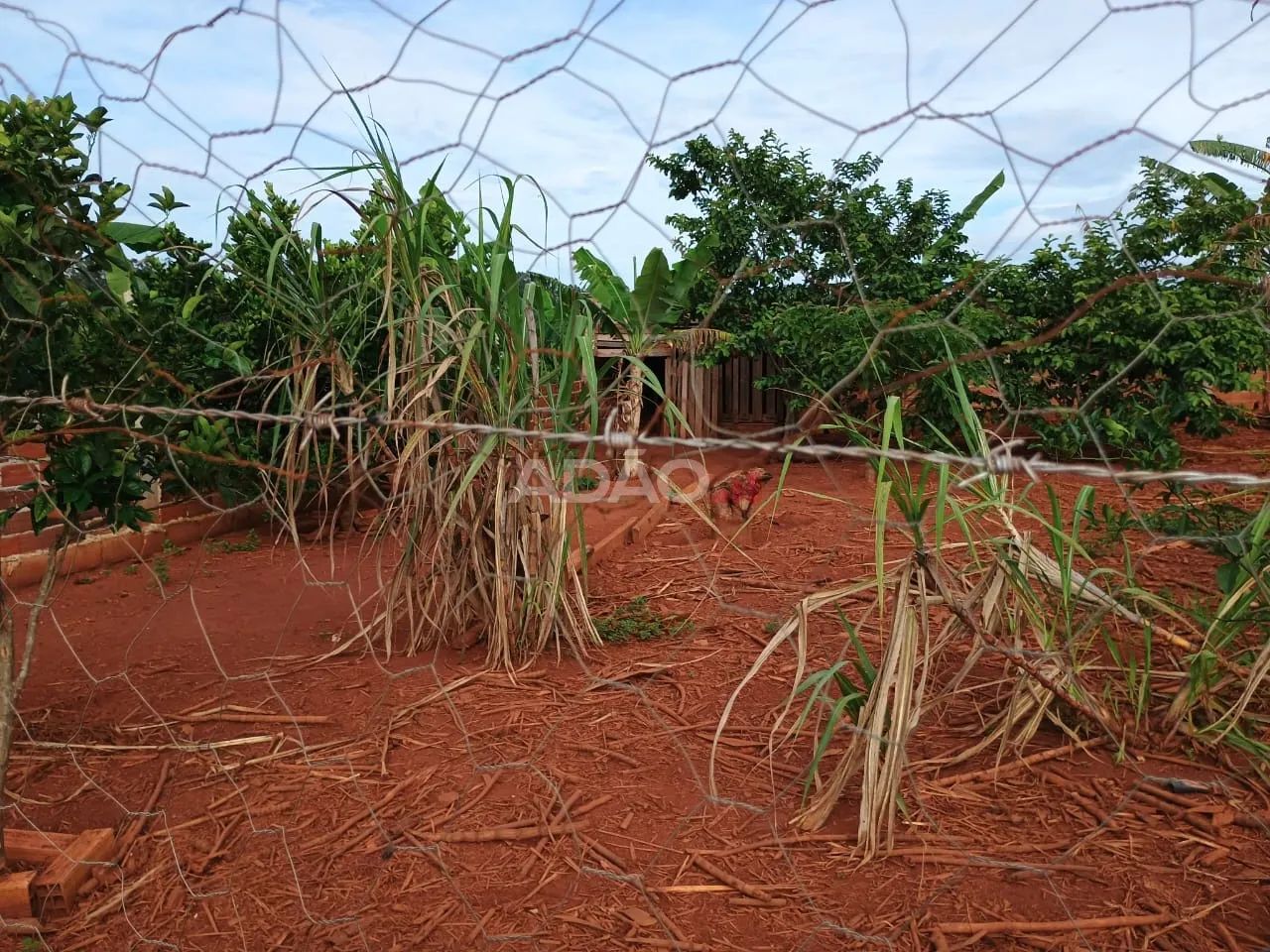CHACARA - CATURAI - Foto 4