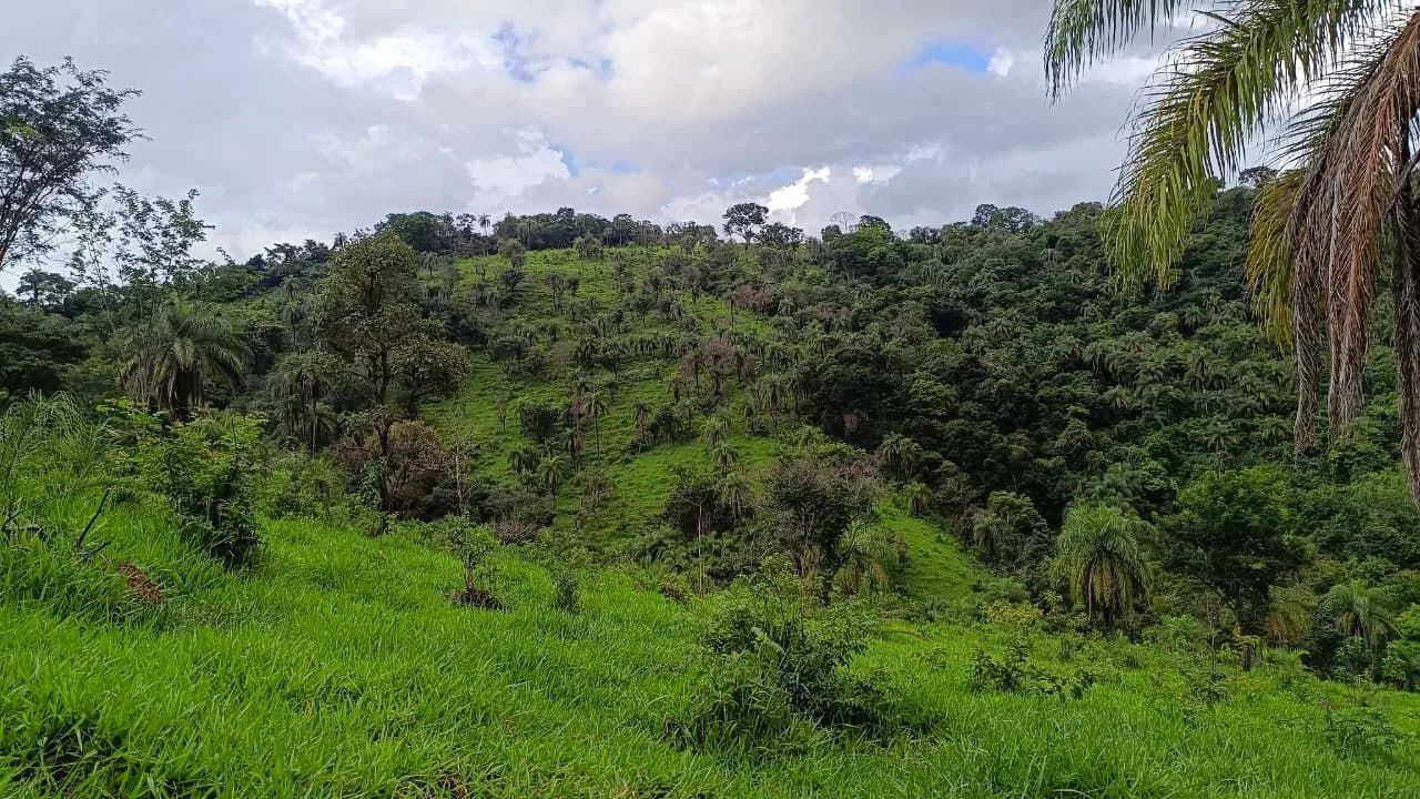 Fazinhandinhas em serra azul Mateus leme  - Foto 5