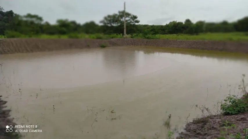 Fazenda 102 hetaris