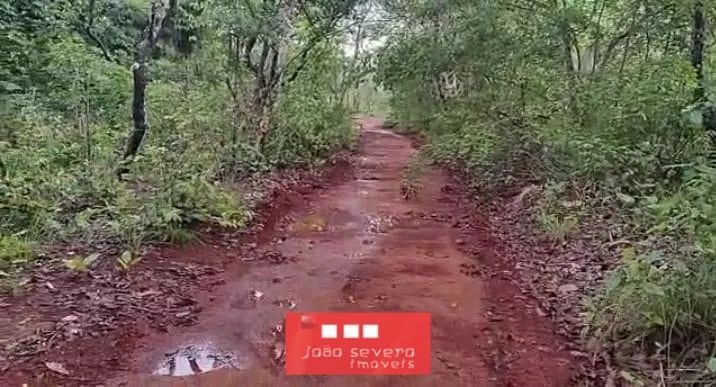 Fazenda para Venda em Araguacema - Foto 5