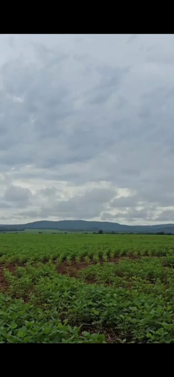 FAZENDA EM CHAPADA DA NATIVIDADE - TOCANTINS - Foto 2