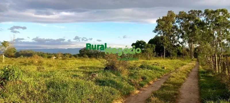 ÁREA PARA LOTEAMENTO URBANO EM LORENA - SP - Foto 4