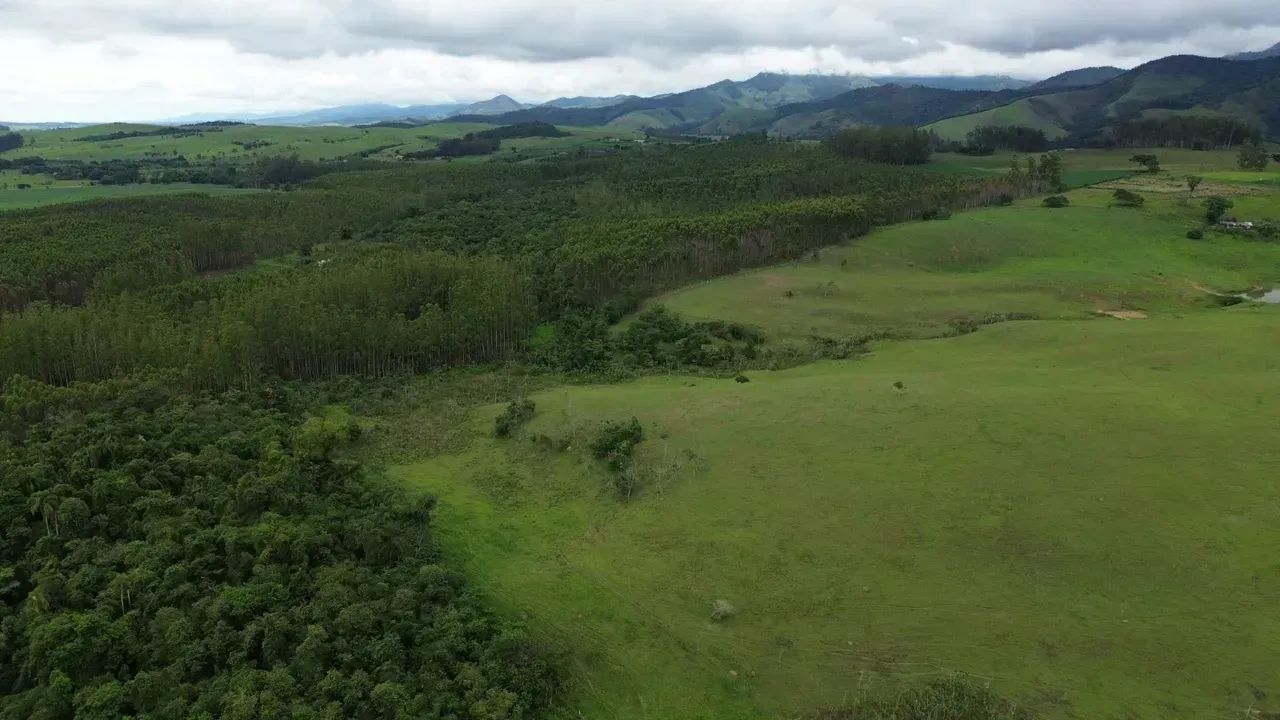 Imóvel para venda com 411400 metros quadrados com 3 quartos - Foto 5