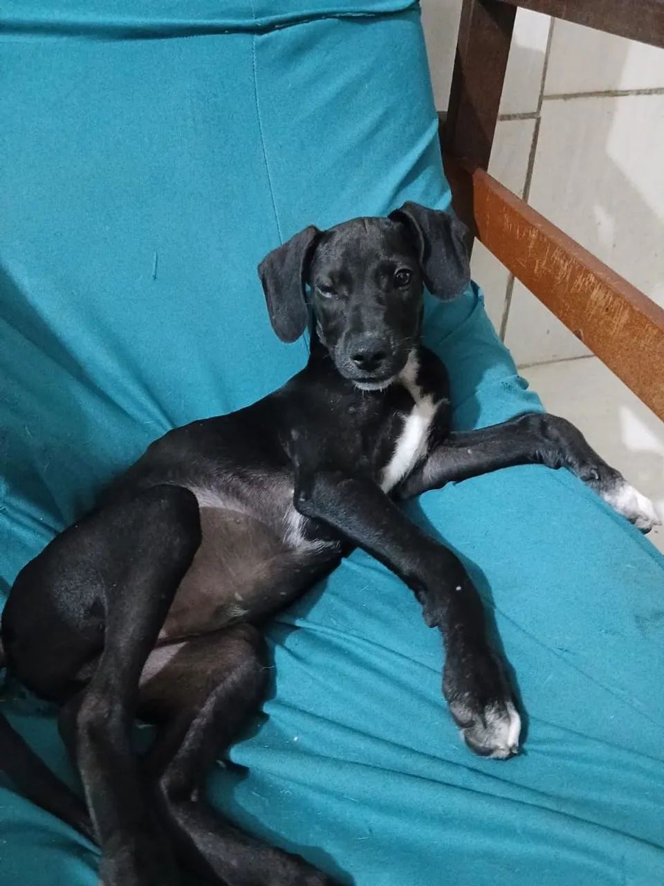 Doação  - Foto 2