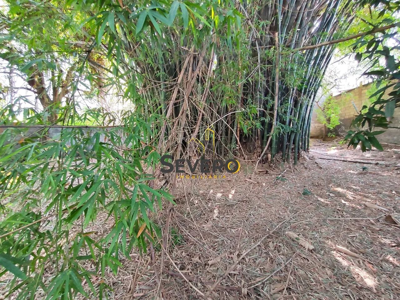 Área com 1890m², de frente para a rua principal, em Nova Cidade - Foto 4