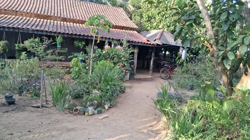 Vende se um Sitio - Foto 5