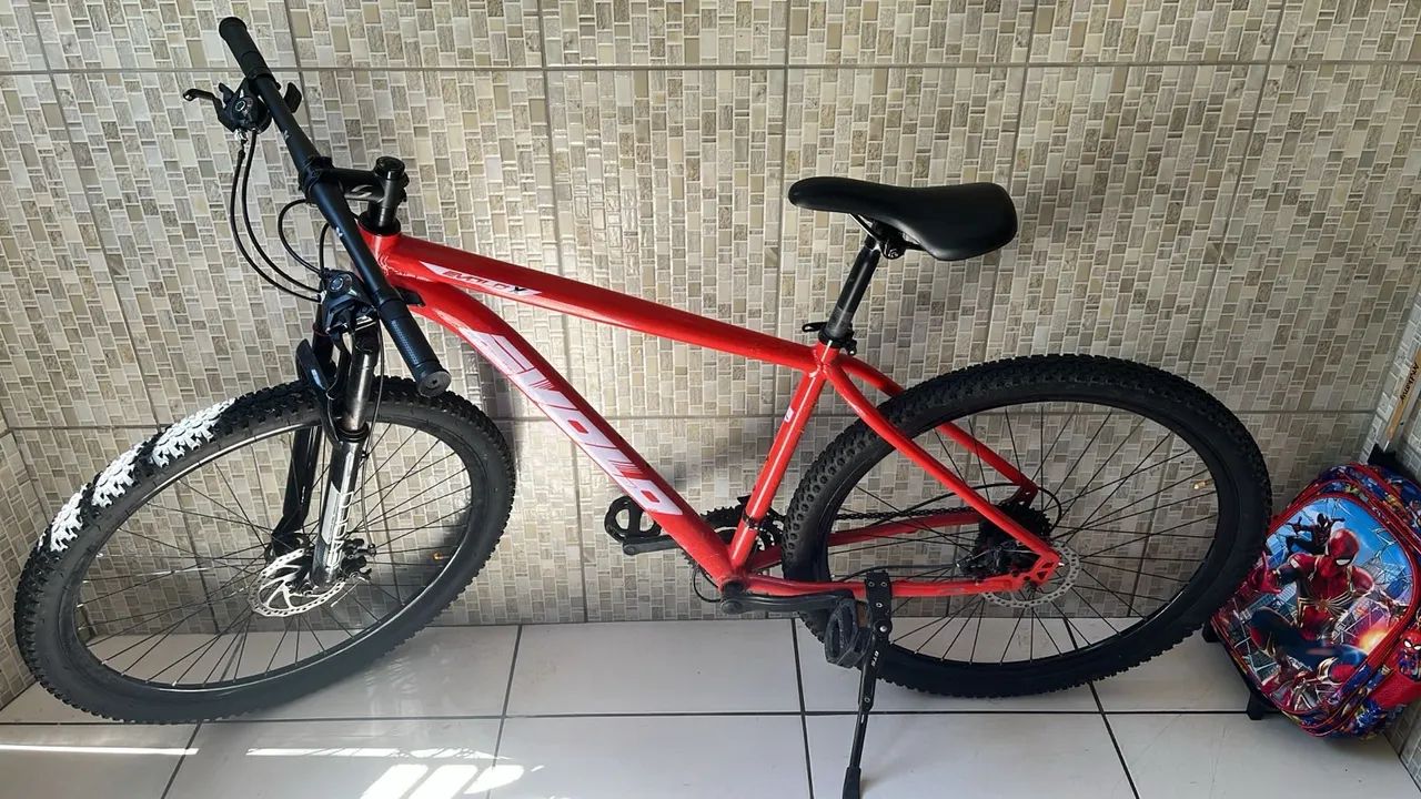 Bicicleta aro 29 
