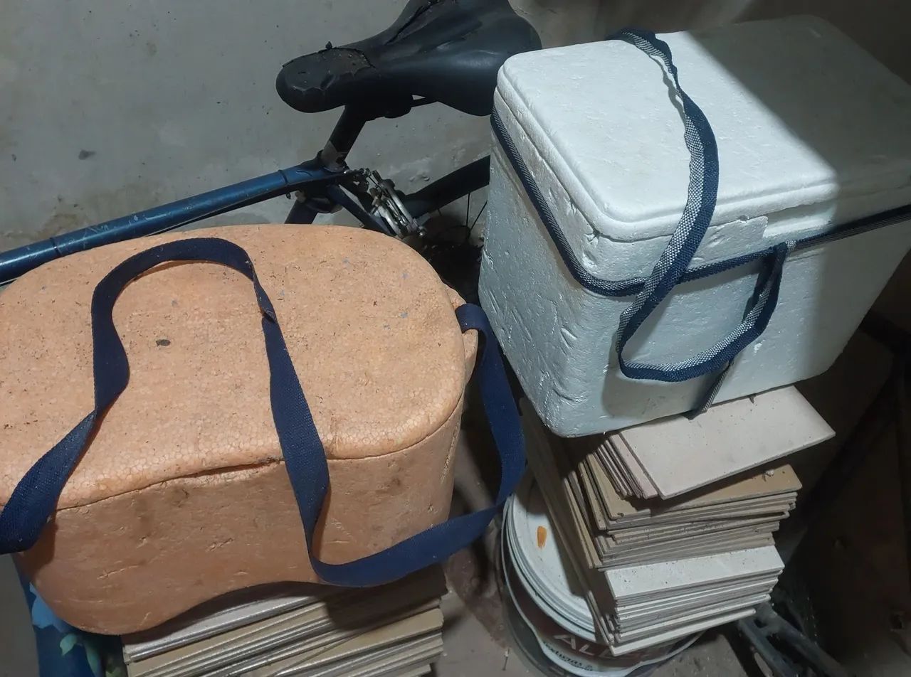 Isopor térmico (2 unidades)