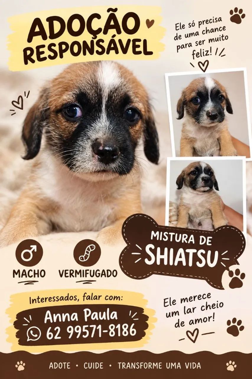Cachorrinho para adoção  - Foto 5