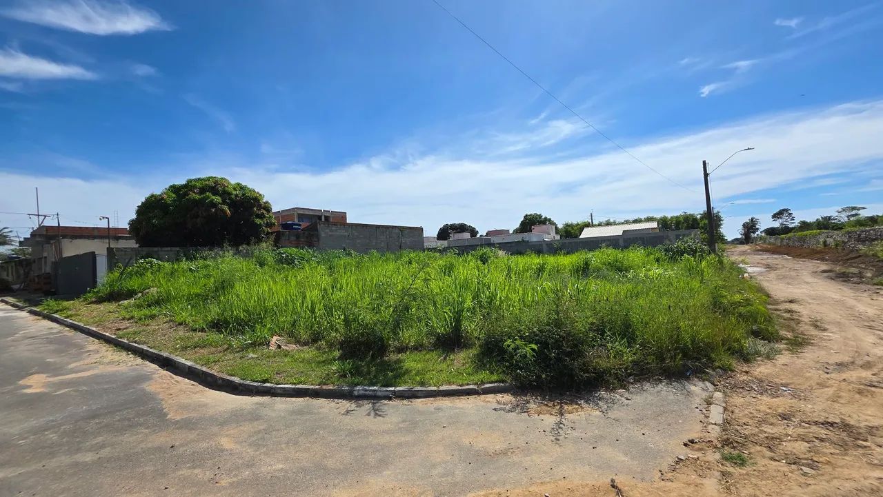 Jardinagem / paisagismo - Foto 3