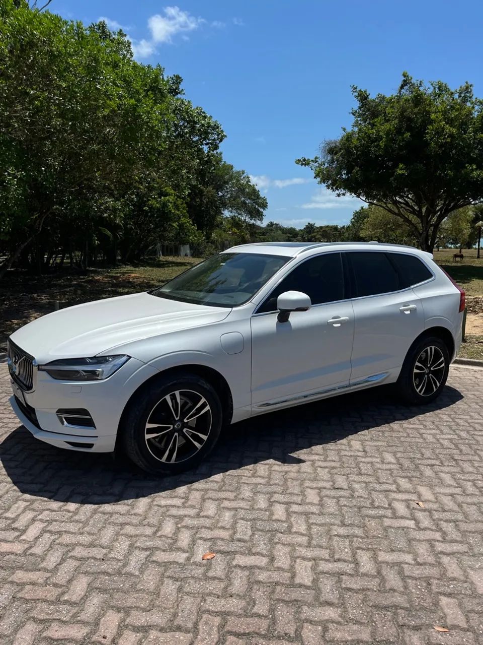 Volvo Xc60 XC 60 T-8 HÍBRIDO MOMENTUM 2.0 5P 2021