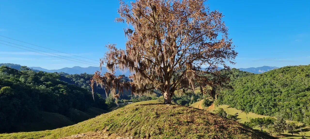 Sitio com linda vista em Águas Mornas - SC - Foto 5