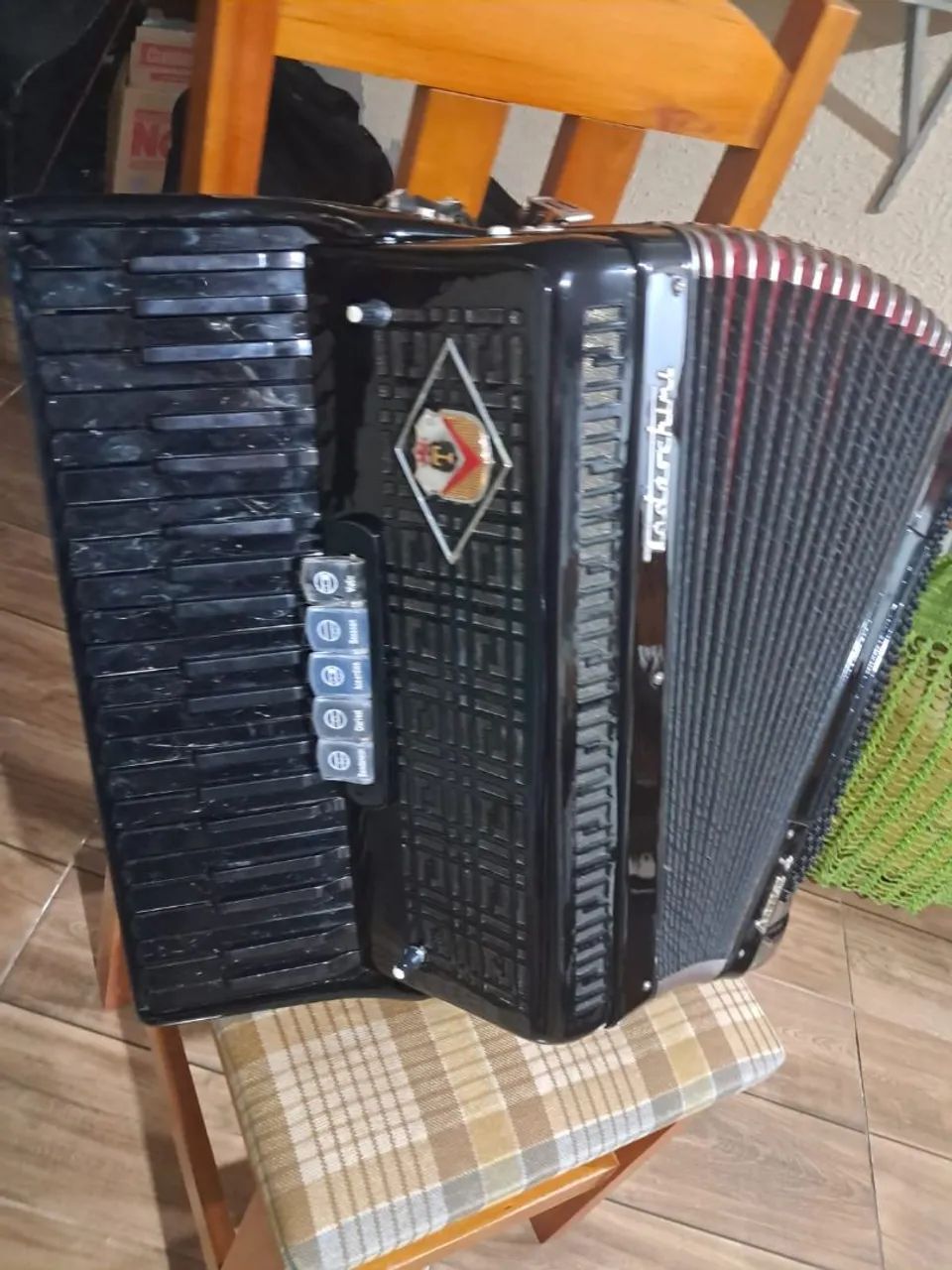 Acordeon todeschini artist 4