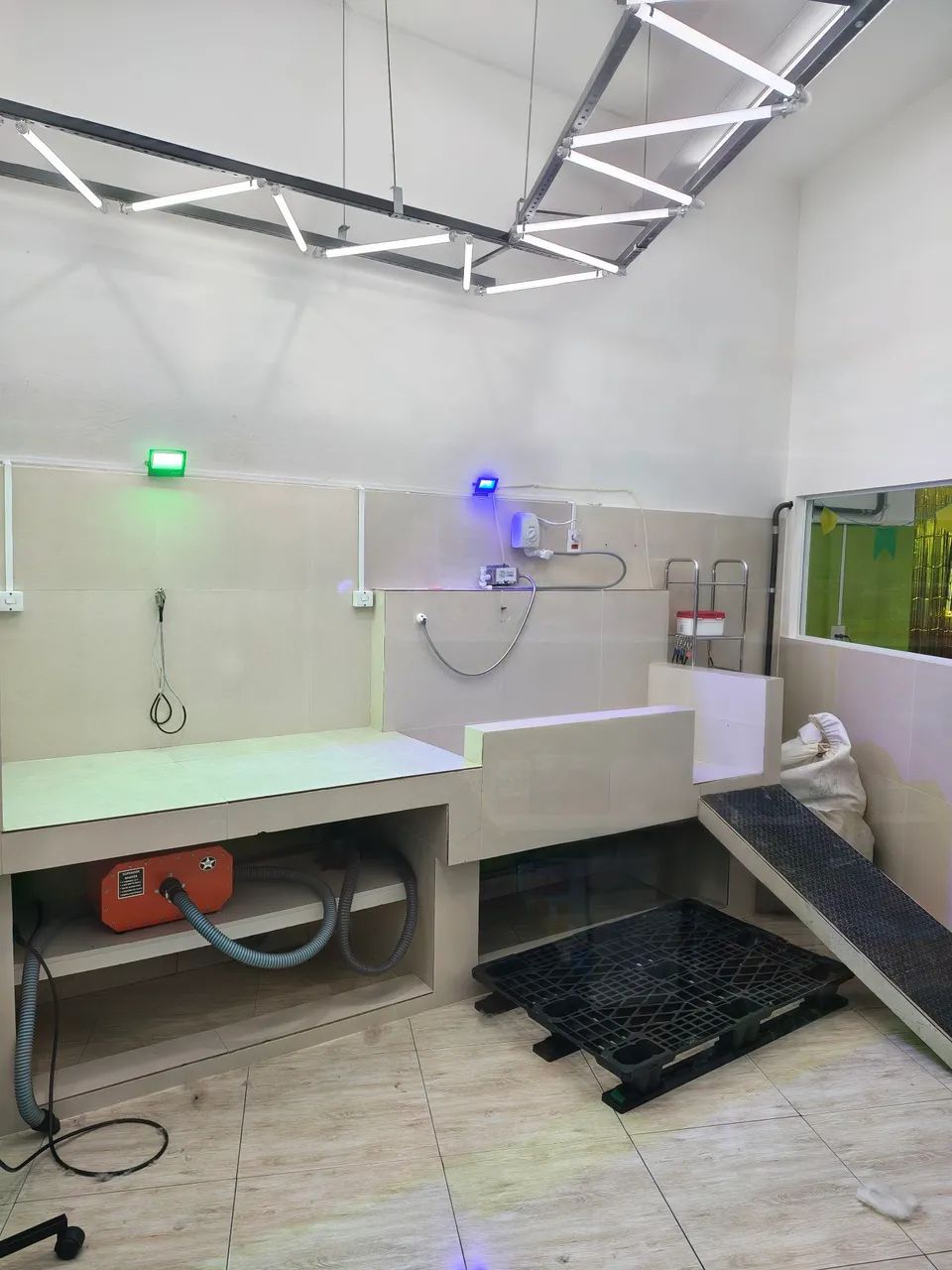 Vende Banho e tosa completo - Jabaquara Sp - Foto 4