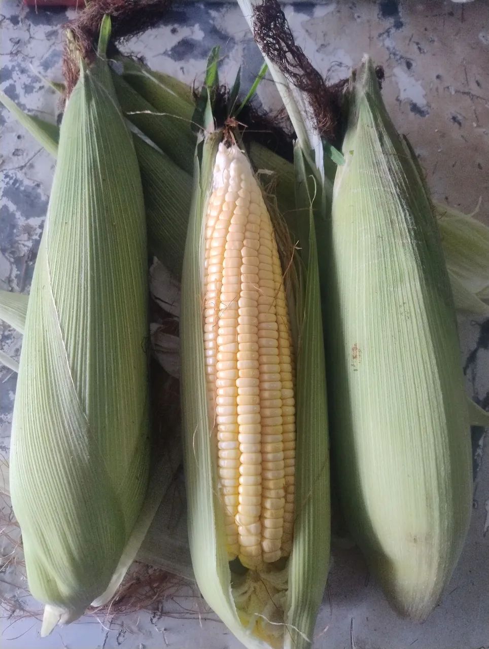 Milho verde