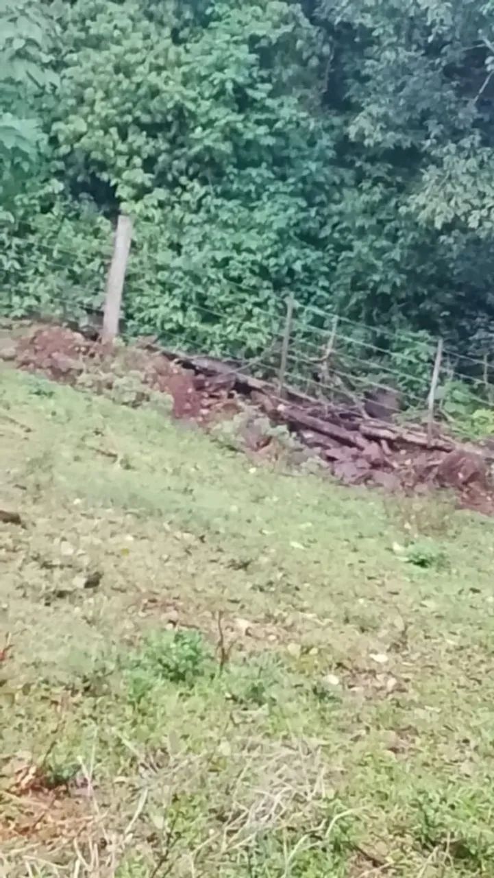 Terra a venda - Foto 5