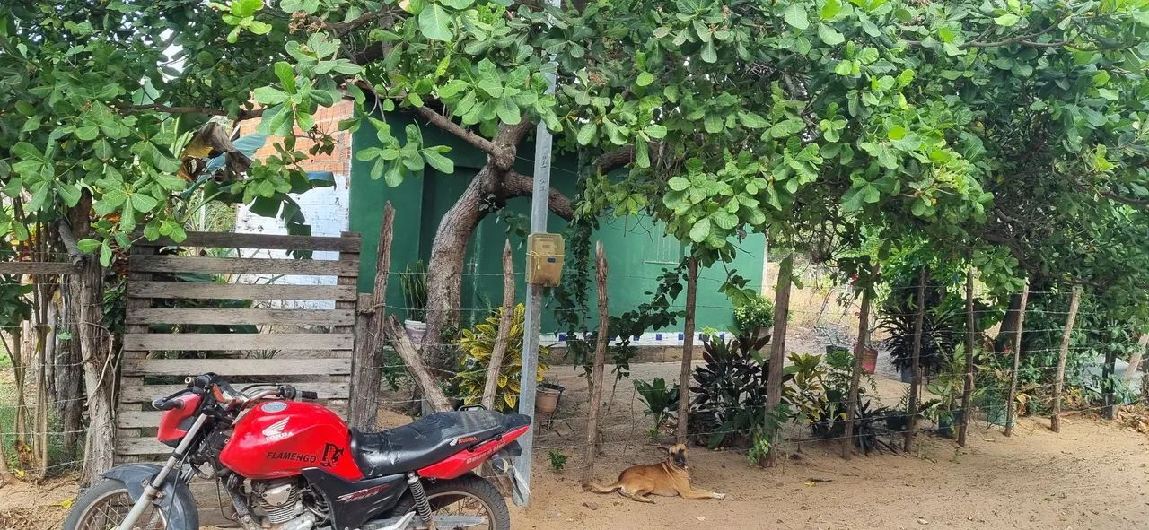 Vendo esse terreno com uma casa simples em Barreirinhas-Ma - Foto 3
