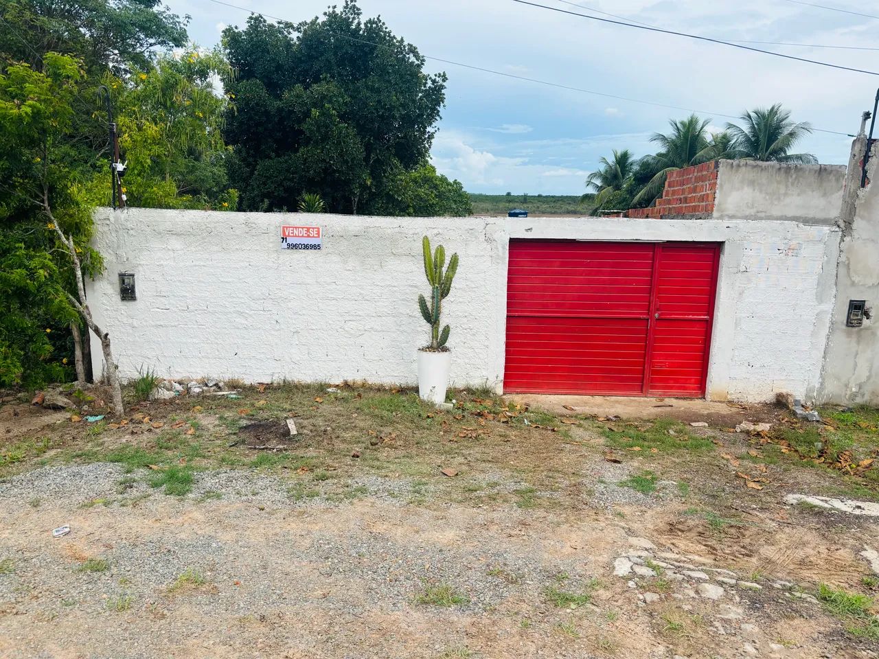 Sítio terreno às margens da BR110 - Foto 6