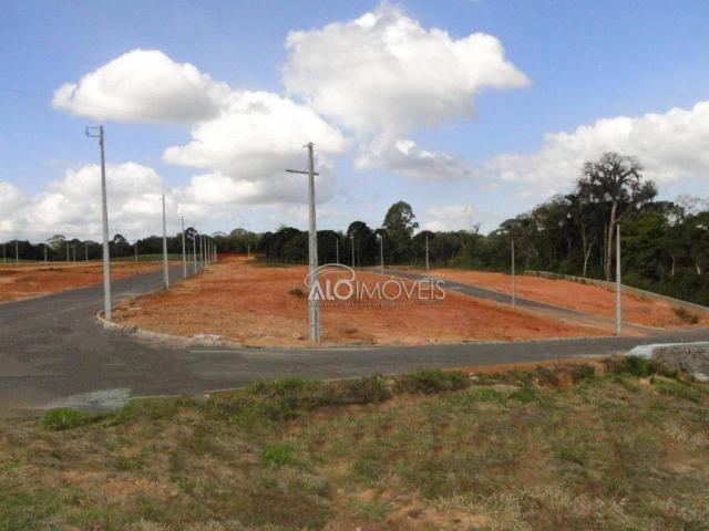 Terreno à venda, 144 m² por r$ 84.270,00 - eucaliptos - fazenda rio grande/pr - Foto 8