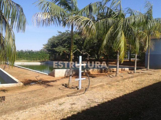 Sítio rural à venda, Zona Rural, Corumbataí. - Foto 3
