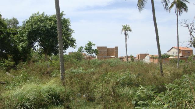 Excelente terreno em frente a fabrica Oriental com 3060m2 - Foto 12