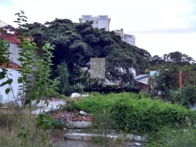 Terreno à venda em Vila ipiranga, Porto alegre cod:TE0257 - Foto 7