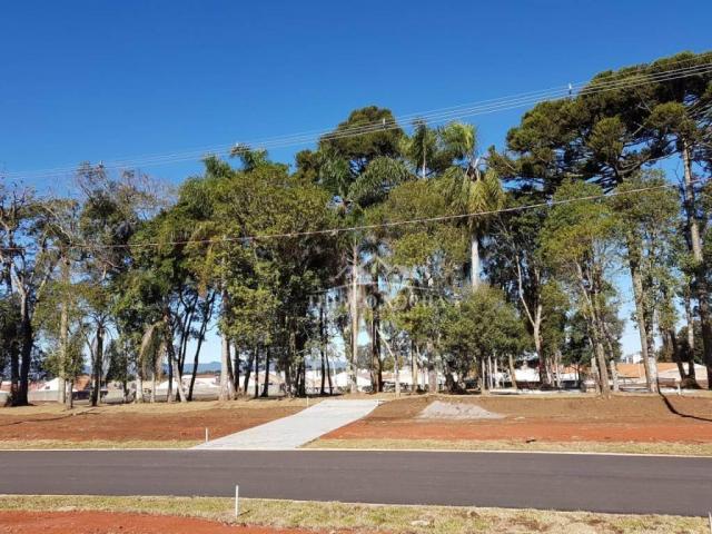 Terreno em condomínio fechado, 125m² exclusivos, área verde, a partir de r$105 mil reais - Foto 12