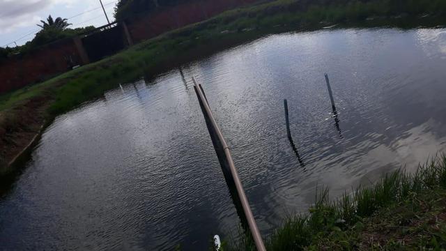 Sítio No Araçagy, Oportunidade - Foto 2