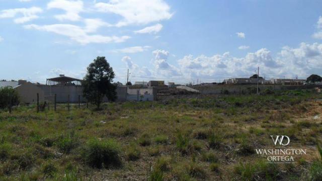 Terreno à venda, 426 m² por r$ 234.300,00 - iguaçu - araucária/pr - Foto 8