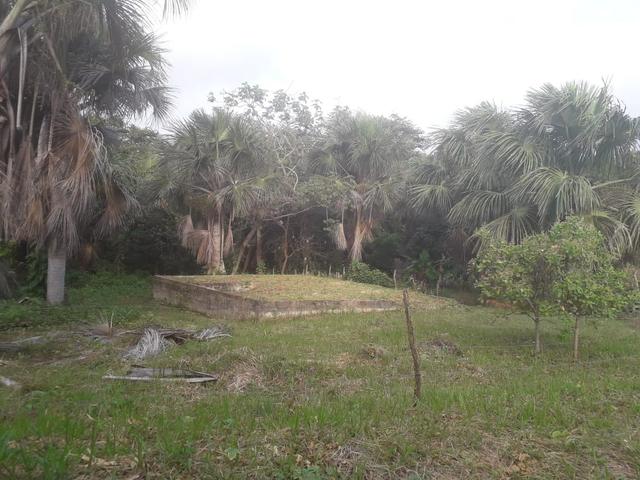Vende-se um sítio no itaparí -panaquatira