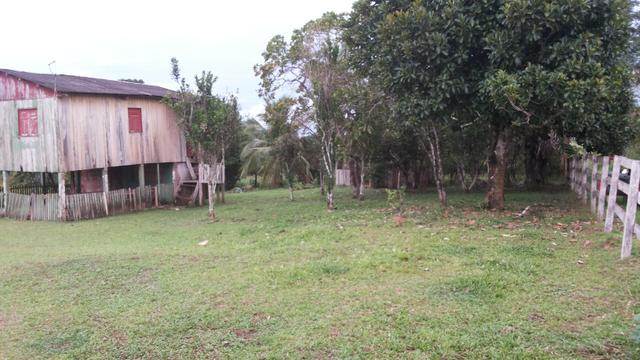 Chácara - Foto 2