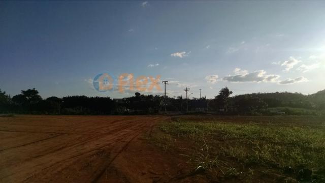 Terreno para alugar em Jucú, Viana cod:FLEX-AREA0030 - Foto 13