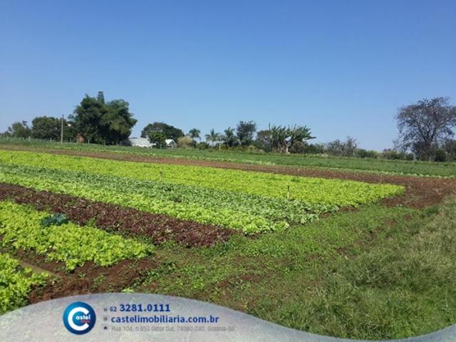 Fazenda 20616 m² por R$ 790.000 em Goiânia - Foto 2