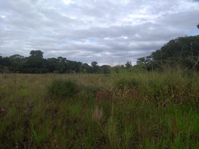Terreno na Rodovia Ilhéus/Itabuna km 07 - Banco da Vitória - Foto 10