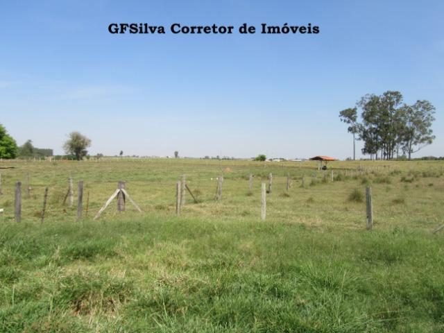 Sítio 2 alqueires e 1/2 todo plano 02 Lagos pronto p/ Haras Ref. 491 Silva Corretor - Foto 16