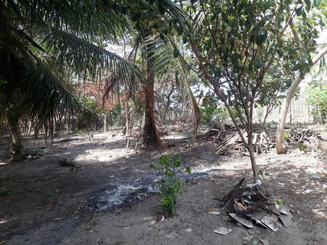 Vende -se esse terreno - Foto 5
