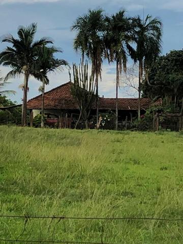Fazenda 152 alqueires em são jose do rio preto 15.000.000.00 - Foto 6