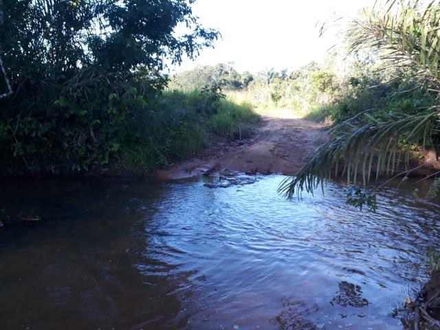 Fazenda Cultura na Beira Rio Araguaia. Araguatins-TO. - Foto 11