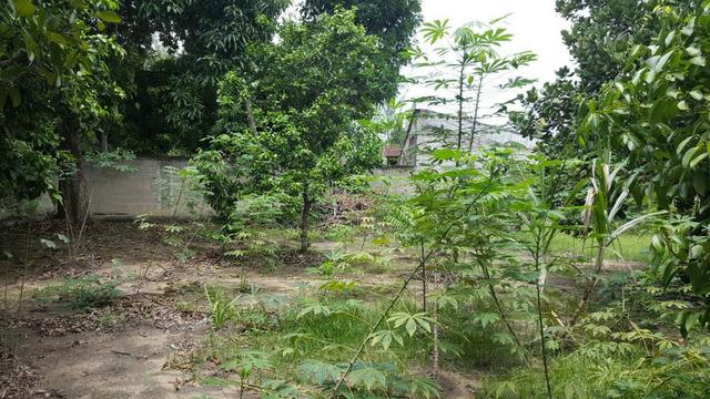 Terreno Murado com Água e Luz bairro Três Vendas em Araruama (RJ) - Foto 8