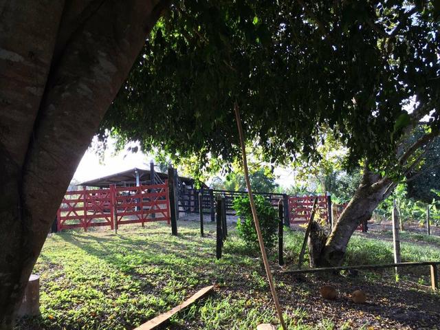 Fazenda à venda a 275km de Salvador