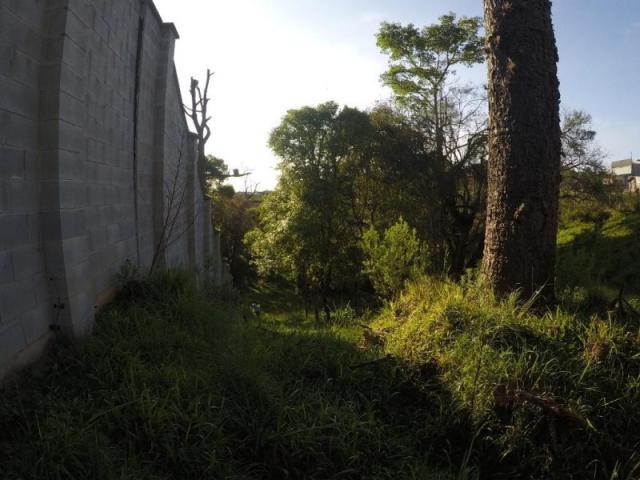 Chácara nà venda - barro preto - são josé dos pinhais/pr - Foto 8