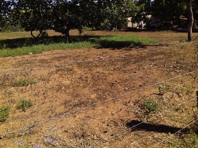 Terreno á 8 km do centro de Luziânia - Foto 2